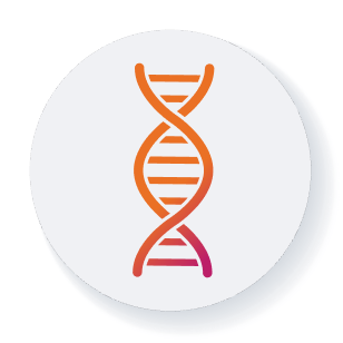 MECP2 Duplication Syndrome (MDS) information sheet