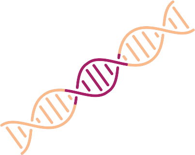 Small insertions and deletions (InDels), a common type of genetic variant