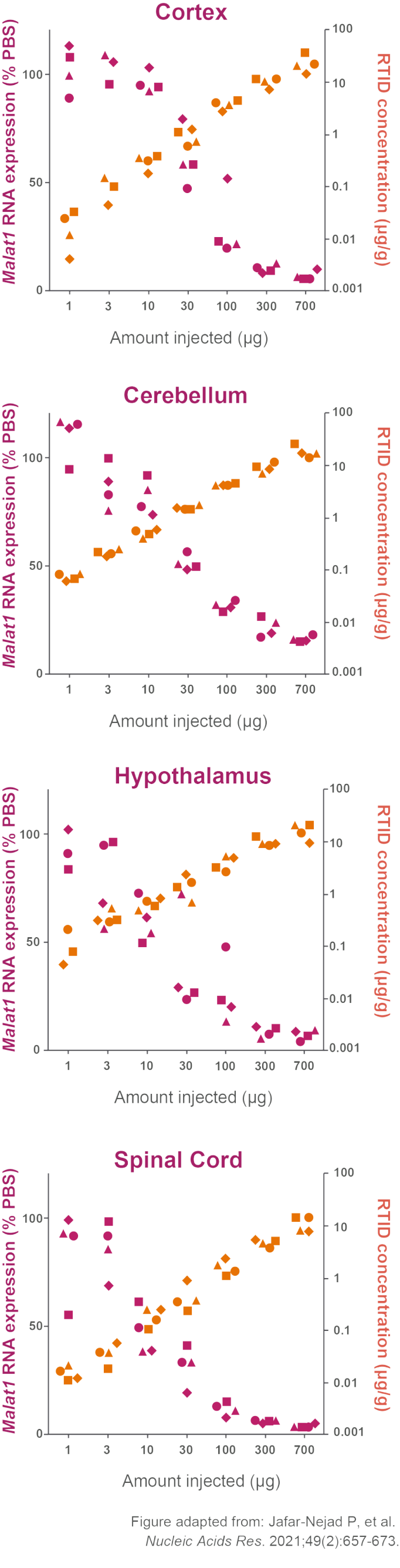 Dose response and accumulation of investigational RTMs in mouse CNS tissue