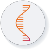 Ulefnersen (Fused in sarcoma amyotrophic lateral sclerosis)