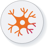 Zilganersen (Alexander disease) clinical study